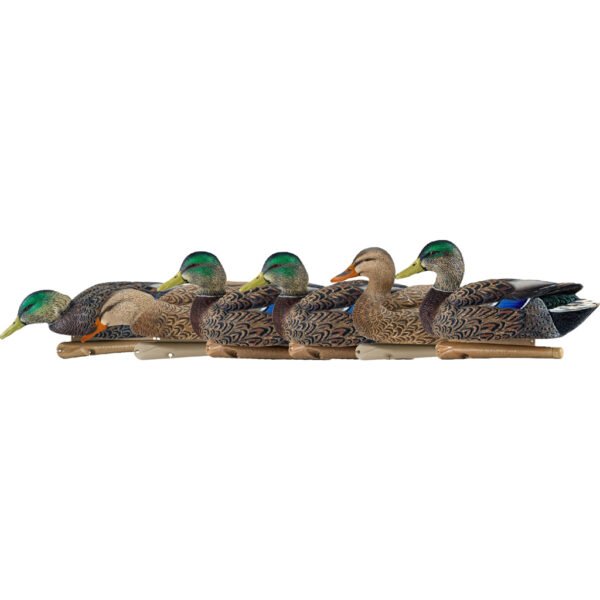Avian X Top Flight Duck Decoys Early Season Mallards 6 pk.