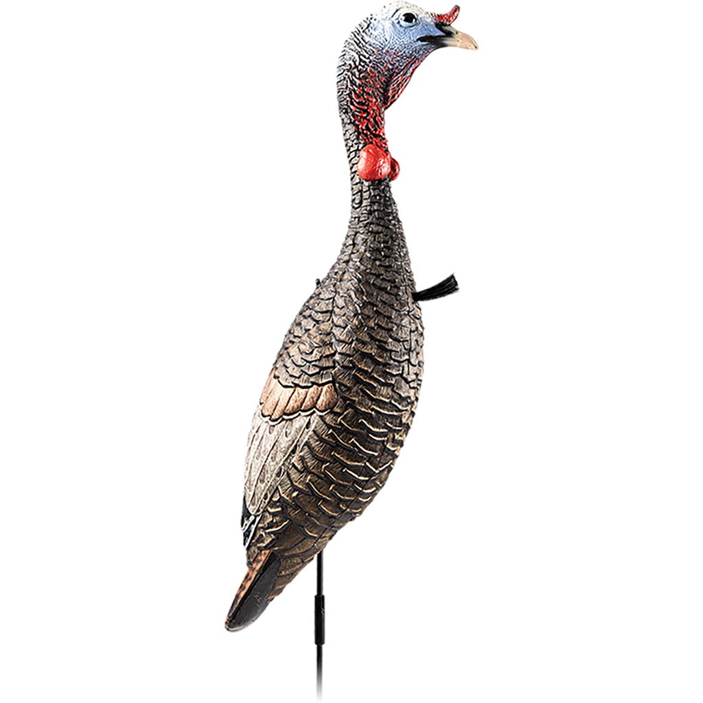 1401808_1.jpg Flextone Funky Chicken Gen 2 Turkey Decoy