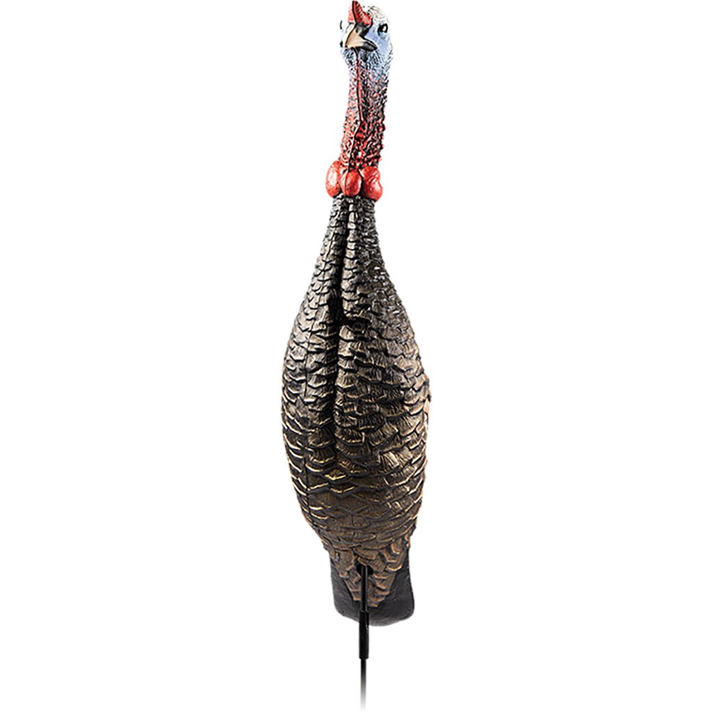 1401808_2.jpg Flextone Funky Chicken Gen 2 Turkey Decoy - Image 2