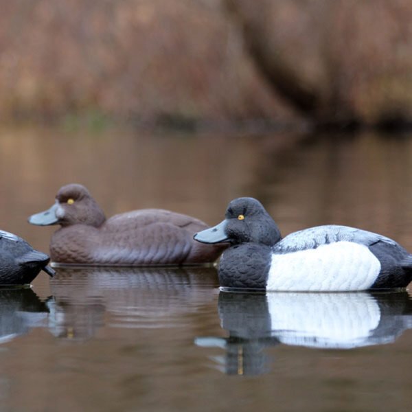 Flambeau Master Series Blue Bill Floater Decoys 6pk