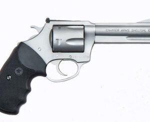 Charter Arms Model 73542 Target Magnum .357 Magnum 4.2" 5 Rounds Stainless Steel