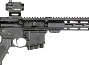 S&W M&P15 SPORT III 5.56 RIFLE - 10-RD CTS106 ST COMP ADJ STK