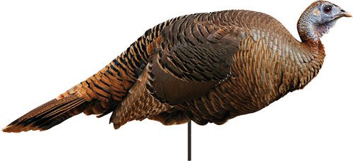 MONTANA DECOY TURKEY SPRING - FLING HEN