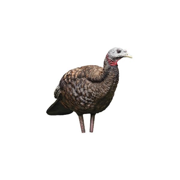 Avian-X LCD - Breeder Hen Turkey Decoy