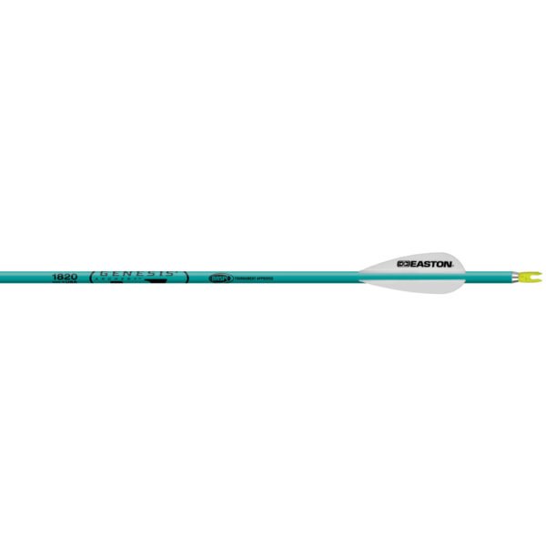 Easton Genesis Arrows Teal 1820 6 pk.