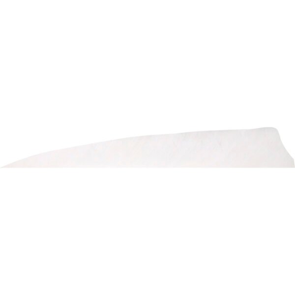Gateway Shield Cut Feathers Flo White 4 in. LW 50 pk.