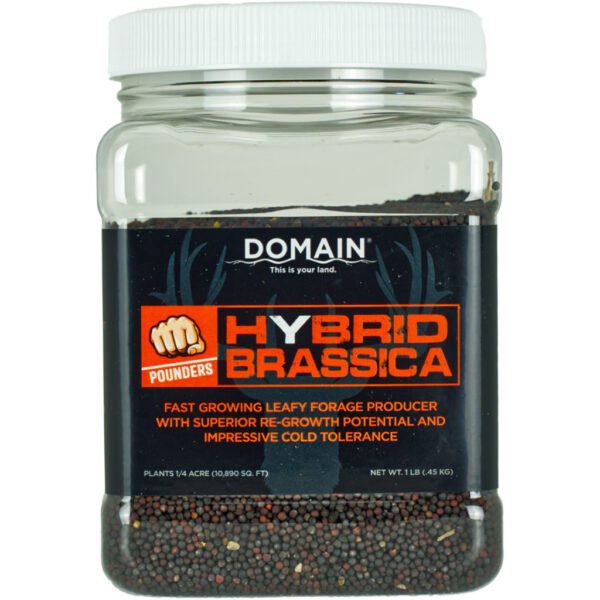 Domain Hybrid Brassica Pounder Seed 1/4 Acre