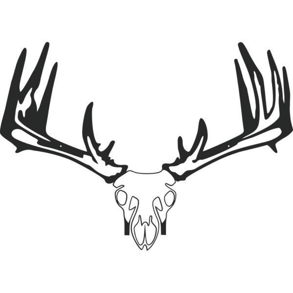 Raxx Crossbow Hanger Whitetail Skull