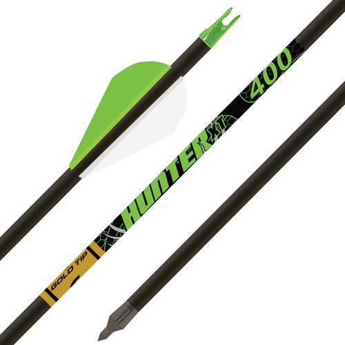 GOLD TIP ARROW HUNTER XT 300 - 2" RAPTOR VANES 1/2DOZ
