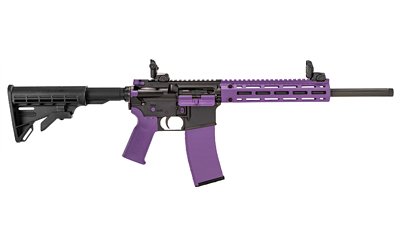 TIPPMANN M4-22 ACCENT 22LR 25RD PRP