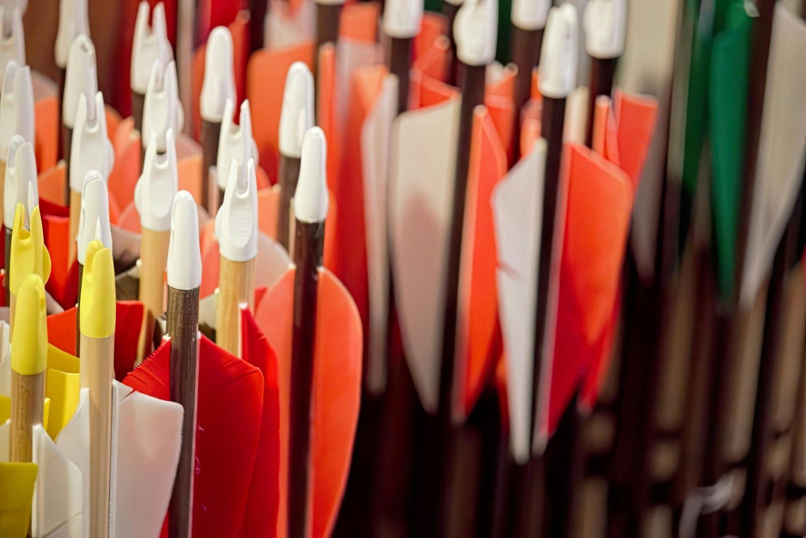 Colorful plastic-fletched arrows in a row, highlighting archery equipment details.