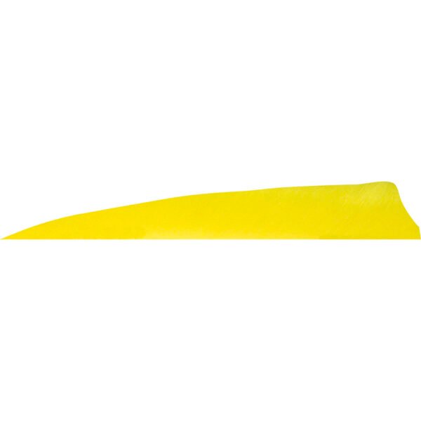 Gateway Shield Cut Feathers Flo Yellow 4 in. LW 50 pk.